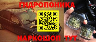 хмурый Малгобек