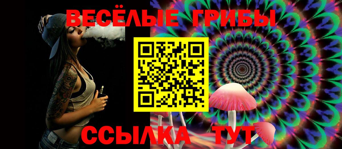 Галлюциногенные грибы Psilocybe  Вход с VPN  Черногорск 